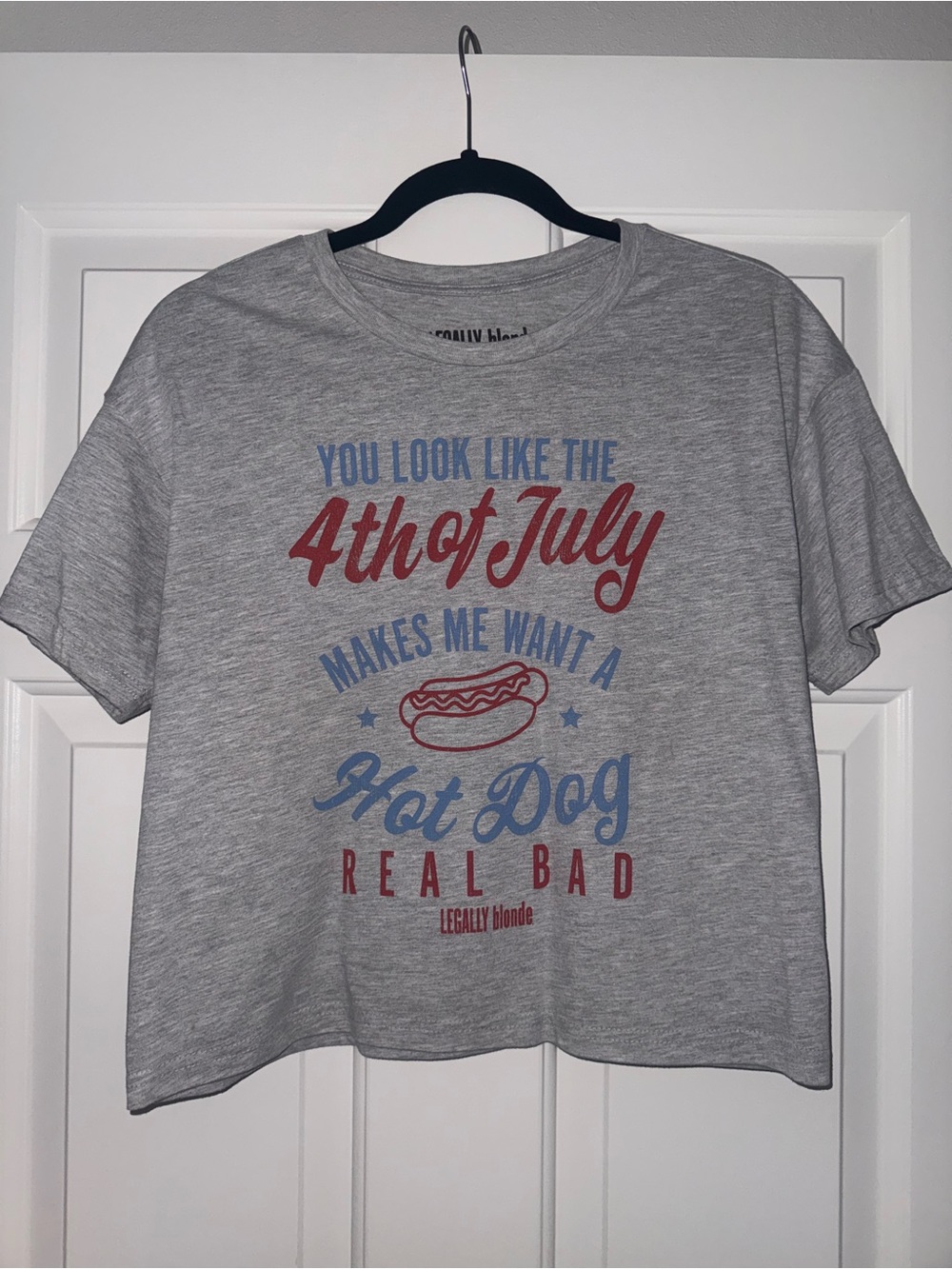 New Gray Graphic Tee - 4th of July Hot Dog Print
